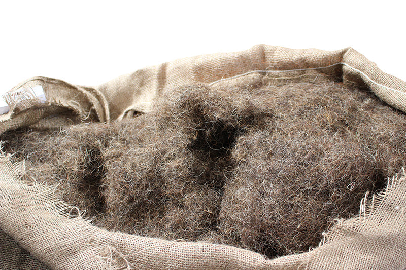 Horse Hair